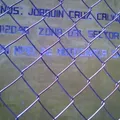 Joaquin Cruz Calvo