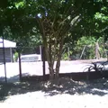 Ocozocoautla
