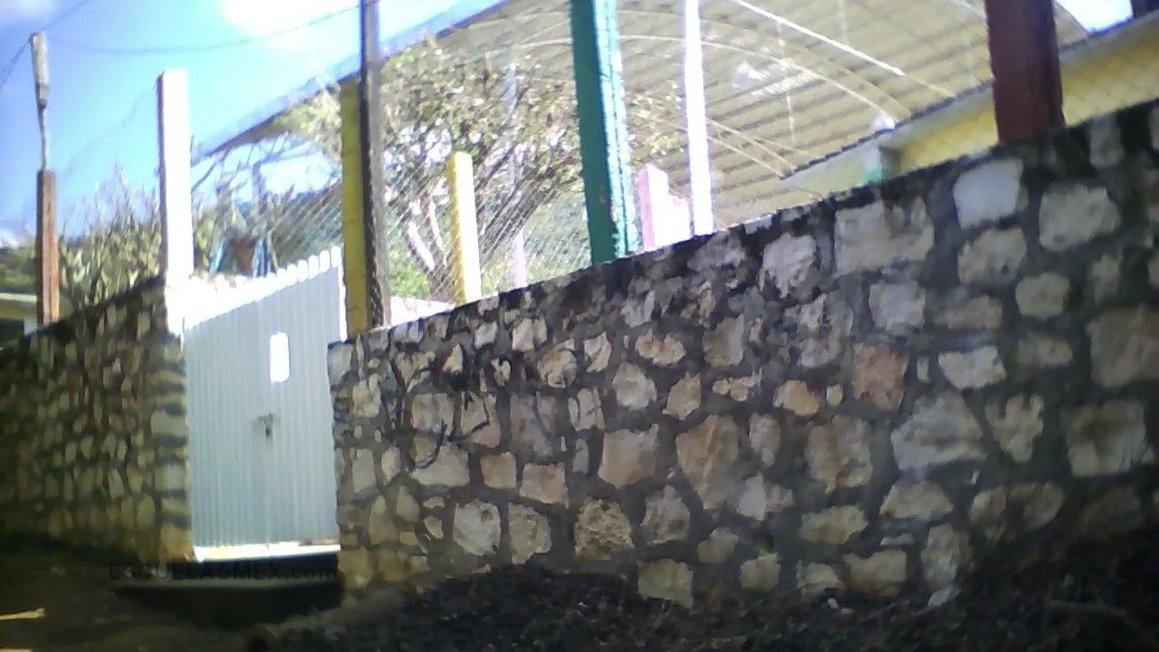 Jose Emilio Grajales Moguel Entrada