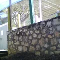 Jose Emilio Grajales Moguel