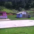 Luis Donaldo Colosio Murrieta