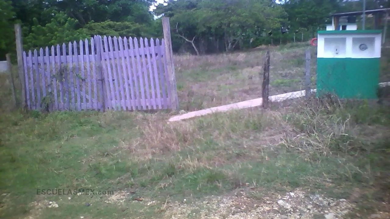 Miguel Lara Vasallo Entrada