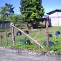 Luis Donaldo Colosio Murrieta