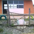 24 de Febrero