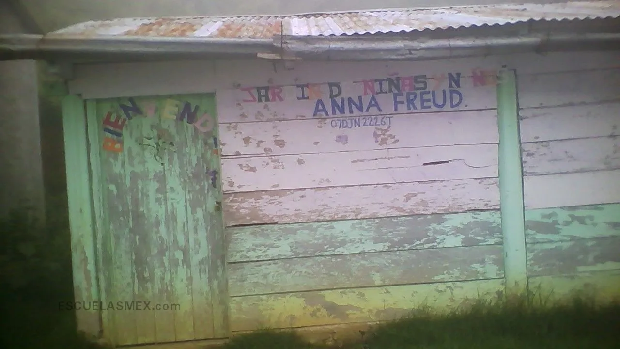 Anna Freud Bernays Entrada