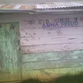 Anna Freud Bernays