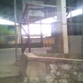 El Porvenir
