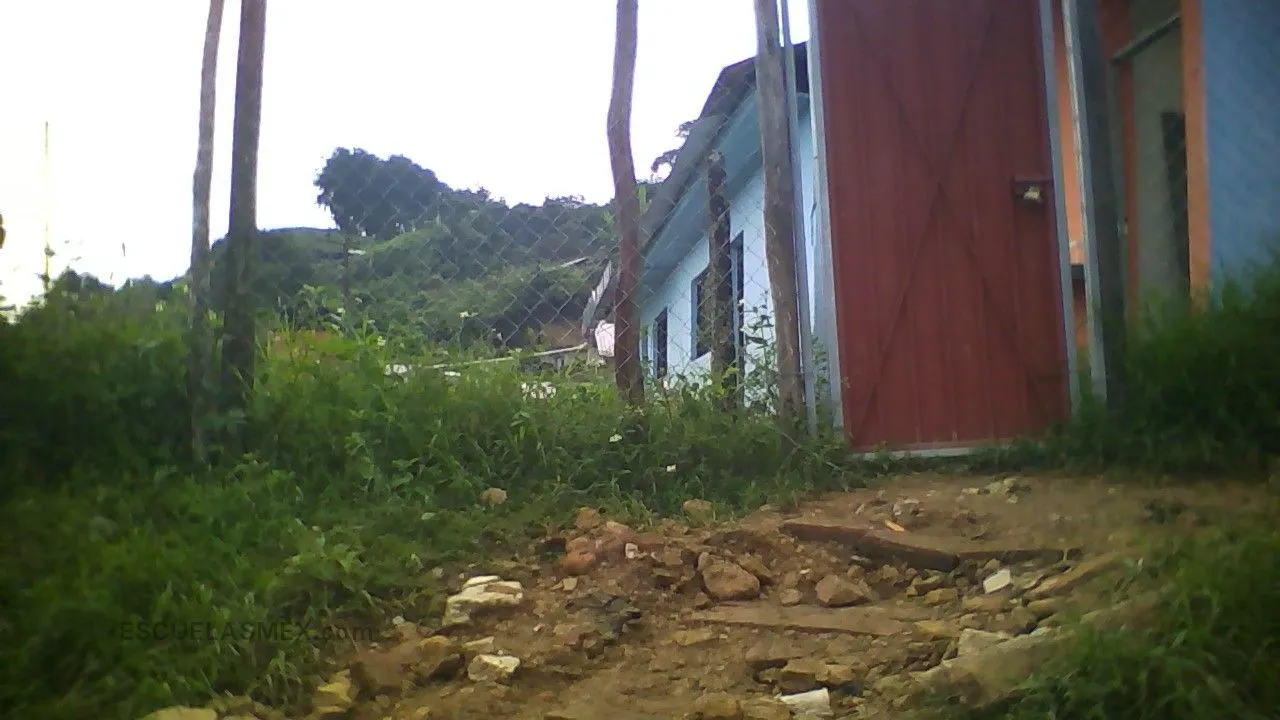 Chamizal Entrada