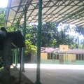 Rafael Ramirez Castañeda