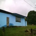 Rafael Ramirez Castañeda
