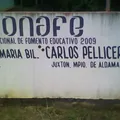 Carlos Pellicer Camara
