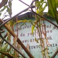 13 de Septiembre