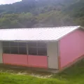 Tierra y Libertad