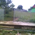 Francisco Villa