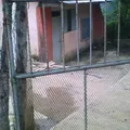 Valentin Gomez Farias