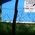 Manuel Avila Camacho