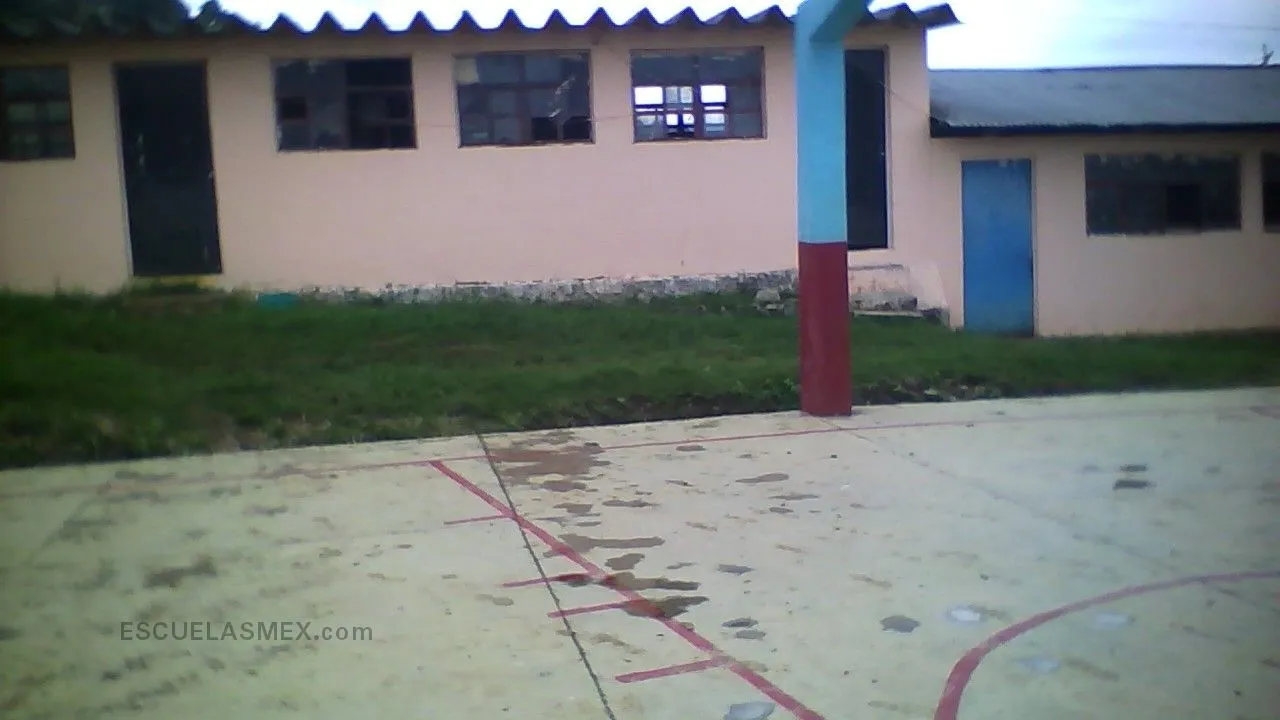 Xicotencatl Entrada