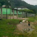 Enrique Conrado Rebsamen