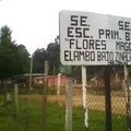 Flores Magon