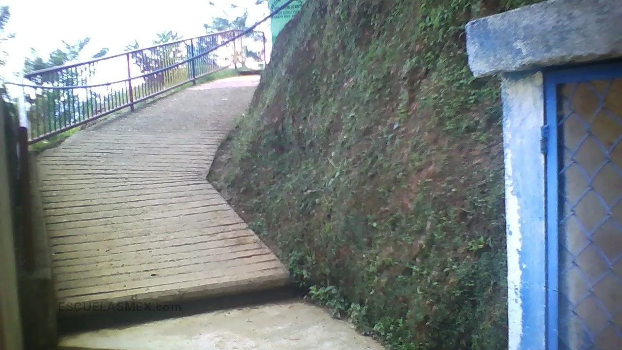 Venustiano Carranza Garza Entrada