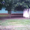 Felipe Carrillo Puerto