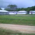 Plutarco Elias Calles