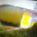 Carlos Pellicer Camara