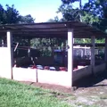 Juan Escutia y Martinez