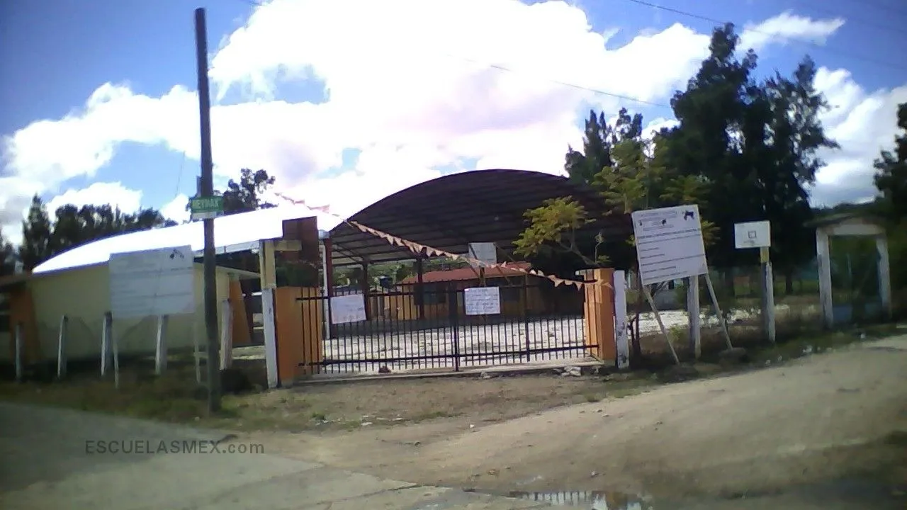 Venustiano Carranza Garza Entrada