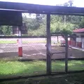 Ricardo Flores Magon
