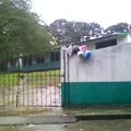 Ricardo Flores Magon