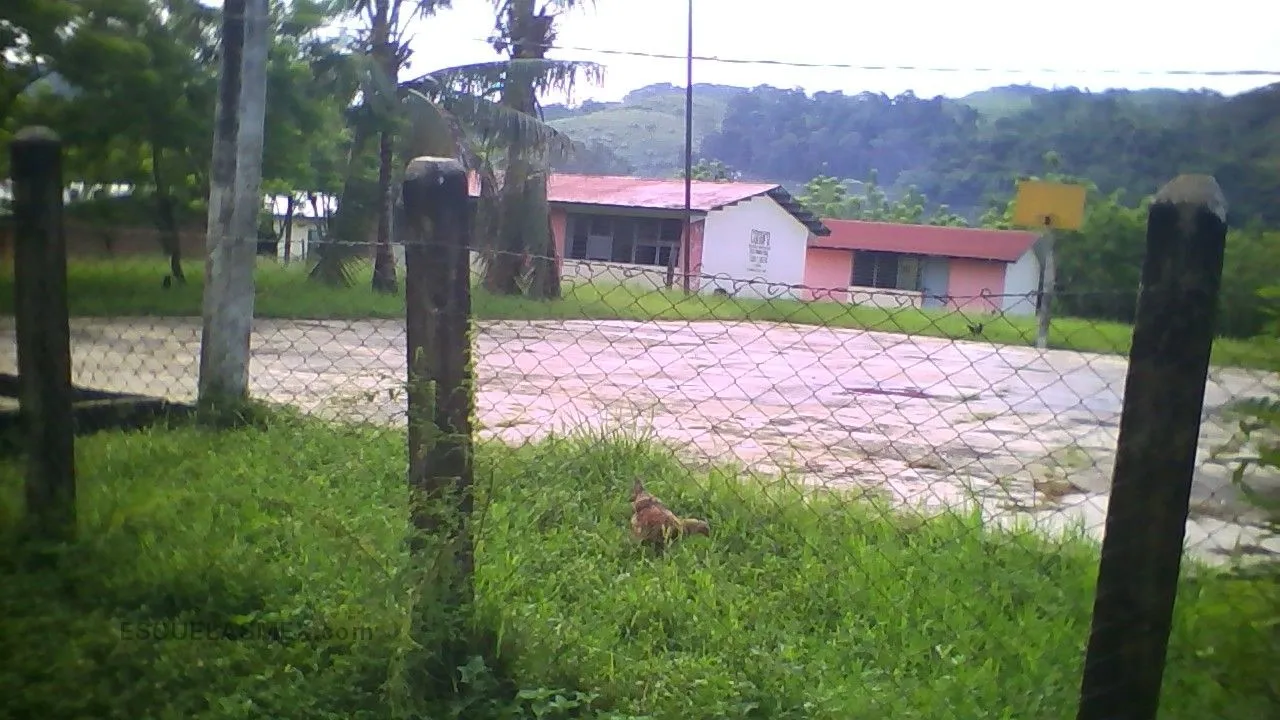 Tierra y Libertad Entrada