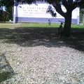 Cuitlahuac