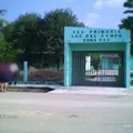 Luz del Campo
