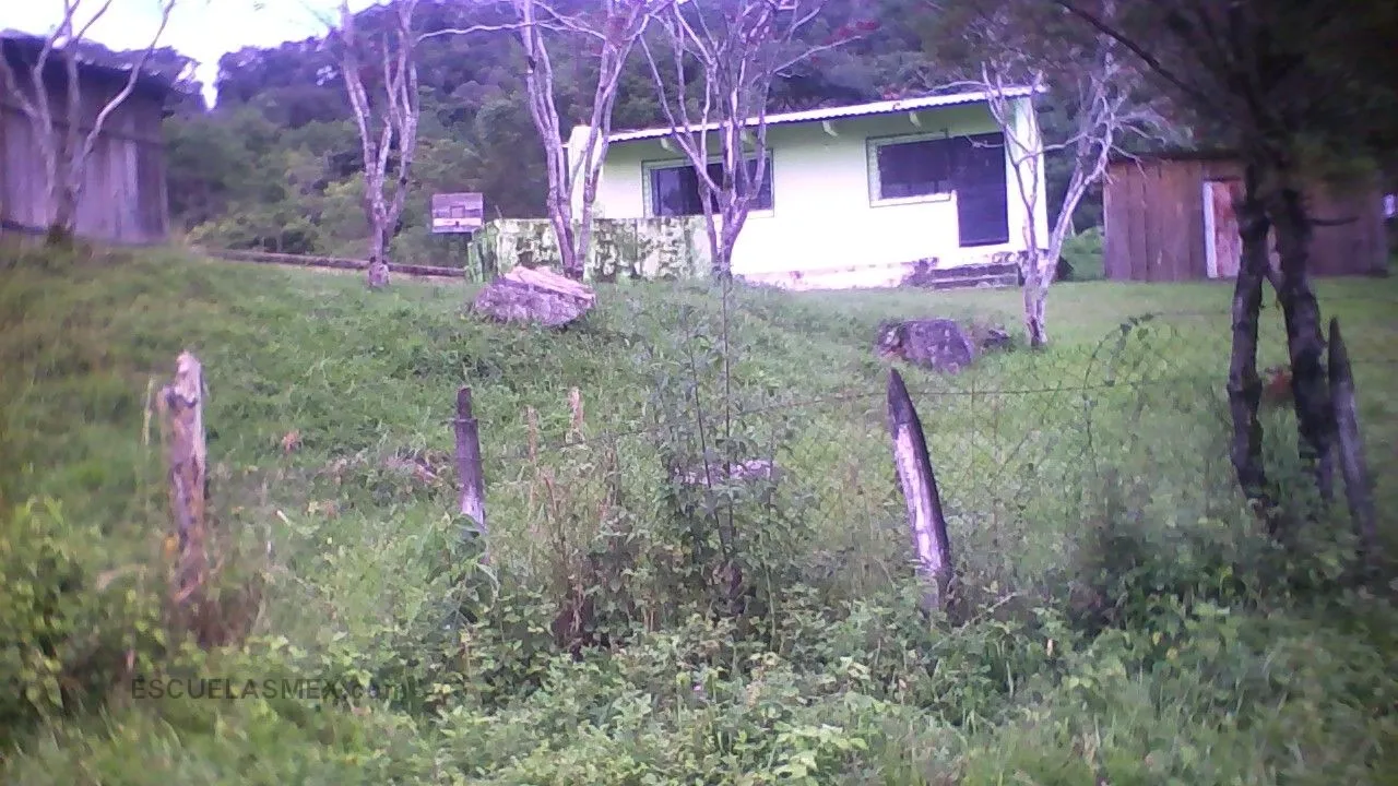 Carlos Arturo Carrillo Gastaldi Entrada