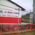Angel Albino Corzo Castillejos