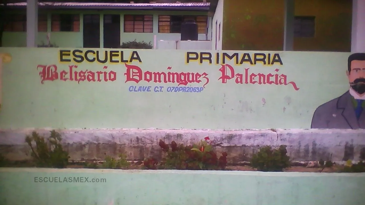 Belisario Dominguez Palencia Entrada
