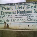 Esperanza Mandujano Burguete