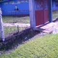 Ricardo Flores Magon