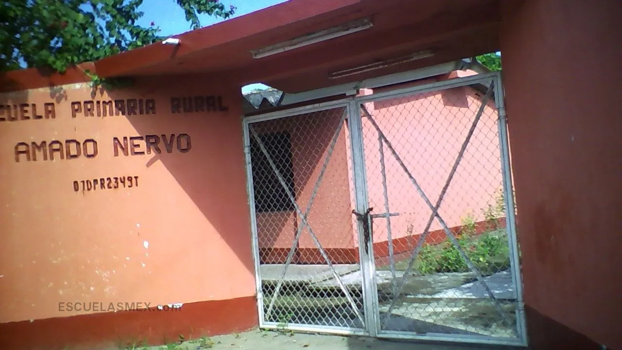 Amado Nervo Ordaz Entrada