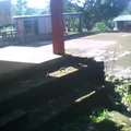 Carlos Arturo Carrillo Gastaldi