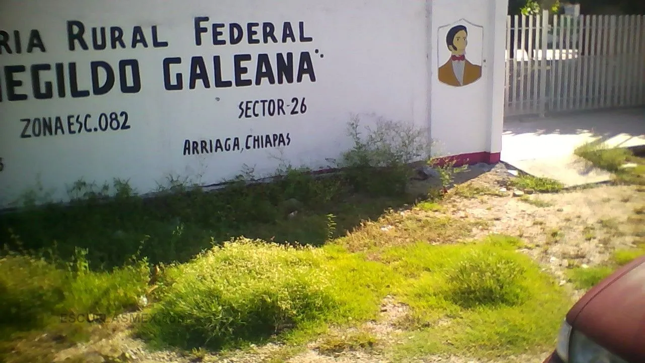 Hermenegildo Galeana Entrada