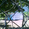 Ignacio Jose de Allende y Unzaga