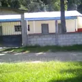 Maria Adelina Flores Morales