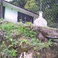Gustavo Diaz Ordaz