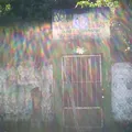 Naciones Unidas