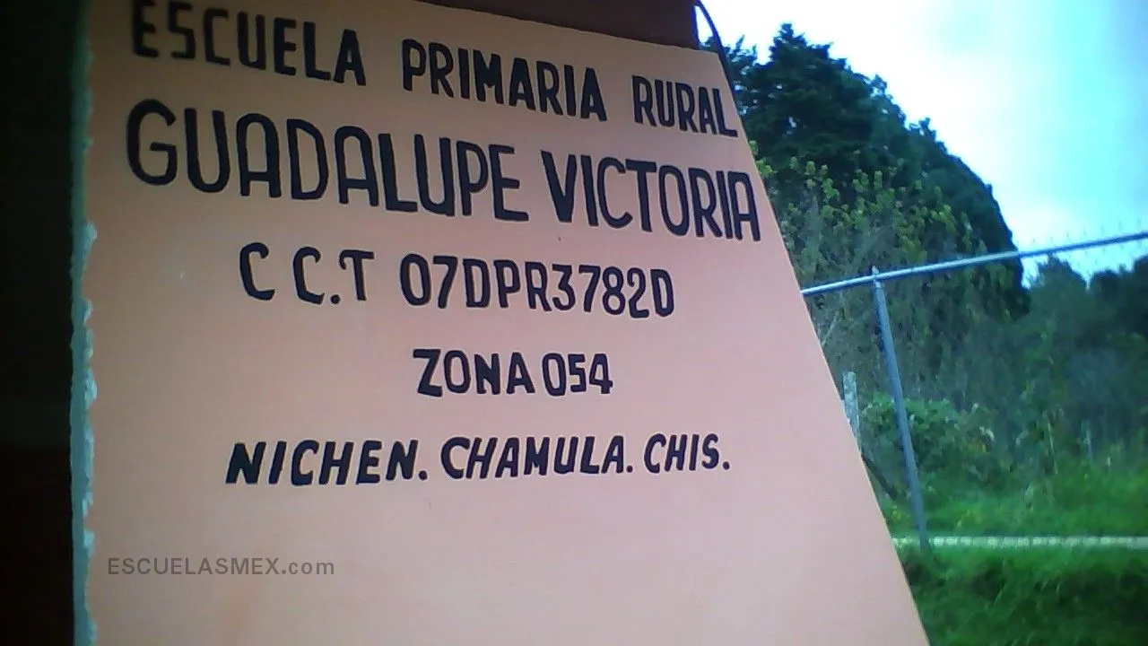 Guadalupe Victoria Entrada