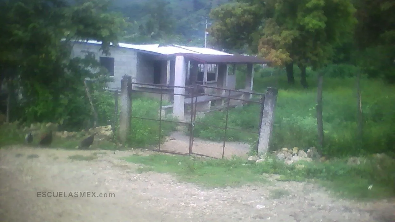 Raul Tellez Chavez Entrada