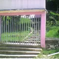 Rosario Castellanos Figueroa