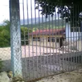 Jose Maria Morelos y Pavon